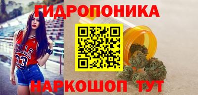 apvp Аша