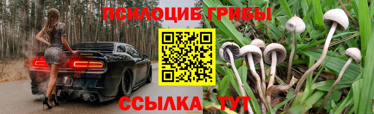 Галлюциногенные грибы ЛСД Елизово