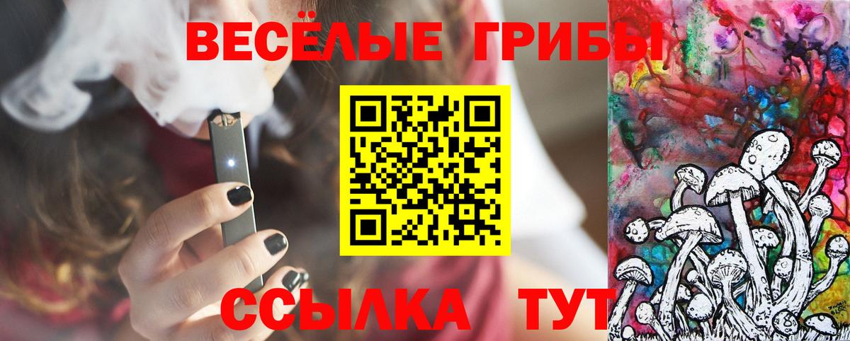 Псилоцибиновые грибы Psilocybine cubensis  Псилоцибиновые грибы MAGIC MUSHROOMS  Вход с VPN  Елизово 